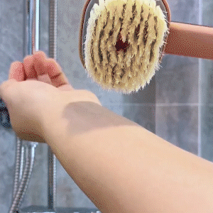 Long Handle Bath Brush
