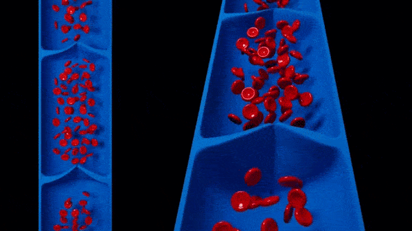 Crème Soulagement Veines