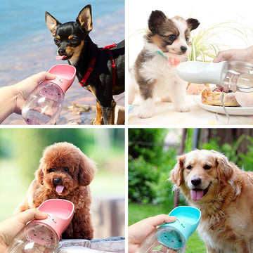 Dog Water Bottle