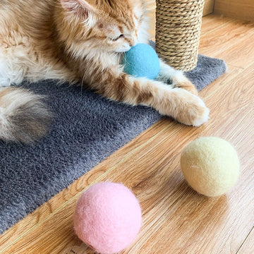Interactive Cat Toy