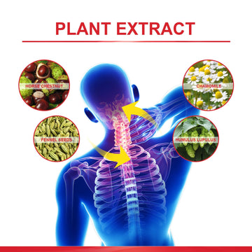 Horse Chestnut Pain Relief Cream